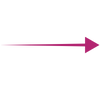 seta magenta